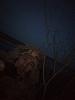     
: IMG_20190413_201654.jpg
: 603
:	87.2 
ID:	47503