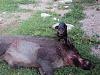     
: DSC00656.jpg
: 1387
:	98.5 
ID:	5211