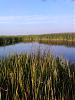     
: IMG_20120823_182514.jpg
: 450
:	96.0 
ID:	5238