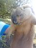     
: IMG_20120815_094808.jpg
: 769
:	95.1 
ID:	5243