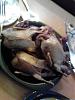     
: IMG_20120914_182844.jpg
: 792
:	88.7 
ID:	5433