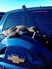    
: IMG_20121007_091214.jpg
: 375
:	94.2 
ID:	5599