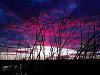     
: IMG_20121018_175221.jpg
: 483
:	91.4 
ID:	5664