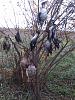     
: IMG423.jpg
: 479
:	101.7 
ID:	5668