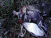     
: IMG_20121111_110318.jpg
: 502
:	101.6 
ID:	5814