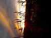     
: IMG_20121110_164824.jpg
: 551
:	89.8 
ID:	5815