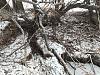     
: Resizer_16399338018321.jpg
: 762
:	101.3 
ID:	58822