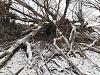     
: Resizer_16399338018320.jpg
: 752
:	101.7 
ID:	58823