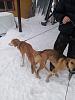    
: IMG_20220314_104203.jpg
: 975
:	86.4 
ID:	59899