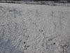     
: IMG_20121218_121138.jpg
: 586
:	93.1 
ID:	6296