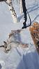     
: IMG-20240229-WA0005.jpg
: 421
:	8.4 
ID:	63333