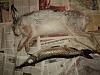     
: DSC00155.jpg
: 520
:	91.9 
ID:	6407