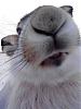     
: IMG_20130105_120227.jpg
: 387
:	87.9 
ID:	6507