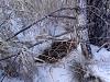     
: IMG_20130105_123437.jpg
: 407
:	100.9 
ID:	6509
