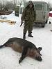     
: 26022013204.jpg
: 655
:	93.3 
ID:	7148