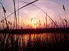     
: IMG_20130419_054738.jpg
: 522
:	91.4 
ID:	7744