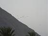     
: DSCN0497.jpg
: 331
:	13.7 
ID:	882