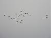     
: DSCN0498.jpg
: 284
:	9.1 
ID:	883