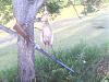     
: 240813-1825(001).jpg
: 735
:	28.1 
ID:	8958