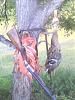     
: 240813-1826.jpg
: 1710
:	32.5 
ID:	8959