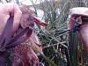     
: IMG_20130926_173507.jpg
: 623
:	95.9 
ID:	9375