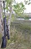 Нажмите на изображение для увеличения
Название: Gamo Shadow 1000.jpg
Просмотров: 4177
Размер: 100.9 Кб
ID: 95