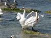     
: getImage.jpg
: 706
:	80.4 
ID:	96