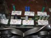 Отчет о поездке по охотничьим магазинам Самары Отчет о поездке по охотничьим магазинам Самары